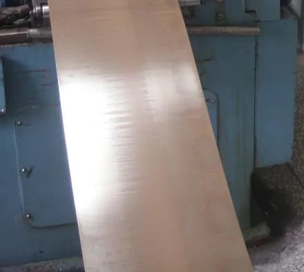 100のニッケル合金ロッド/ストリップ/ワイヤー（EMS55089）